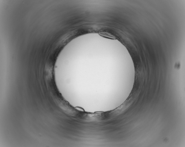 X0000090740188200708172015