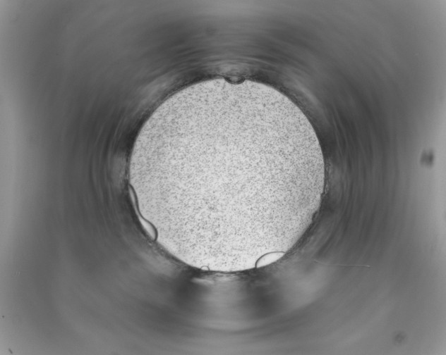 X0000090740189200708172015