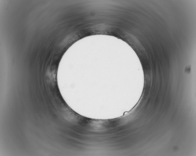 X0000090740190200708172015