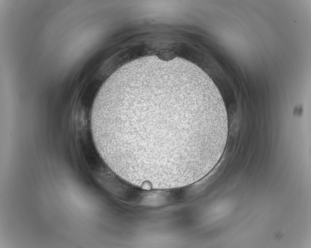 X0000090740191200708172015