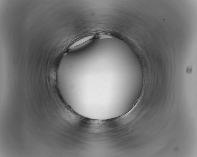 X0000090740192200708172015