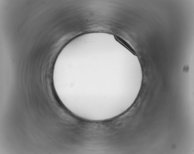 X0000090740193200708172014