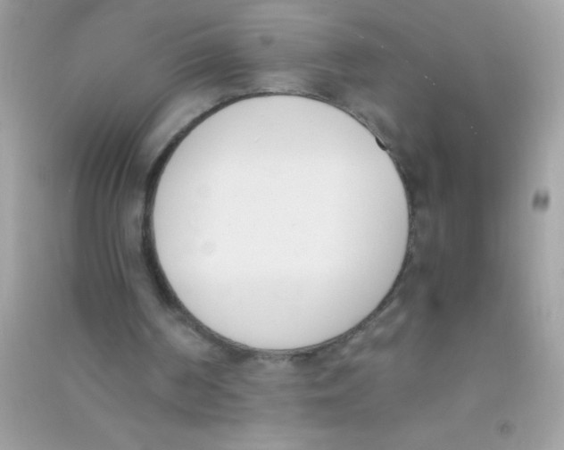 X0000090740194200708172014