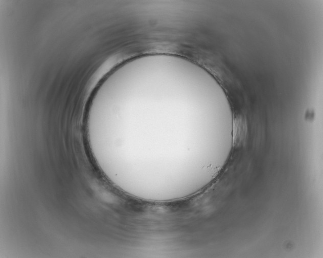 X0000090740195200708172014