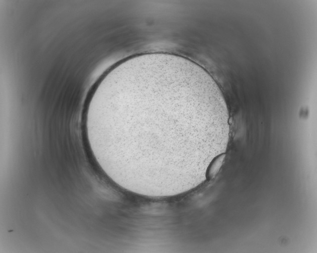 X0000090740196200708172014