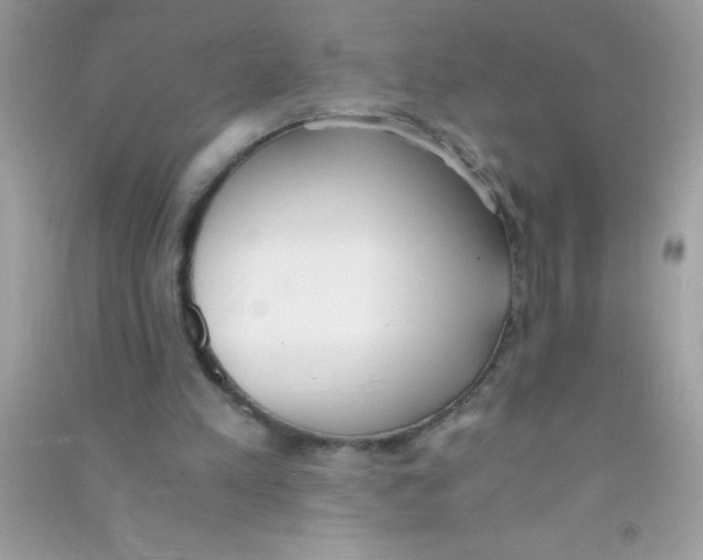 X0000090740197200708172014