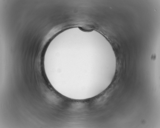 X0000090740198200708172014