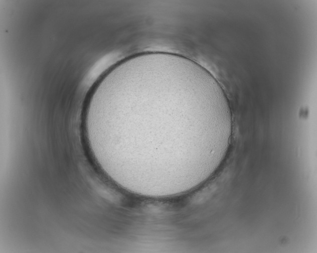 X0000090740199200708172014