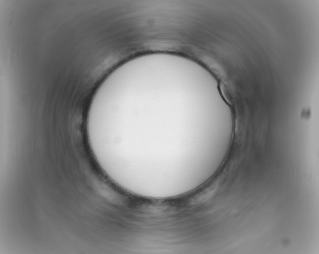 X0000090740201200708172014