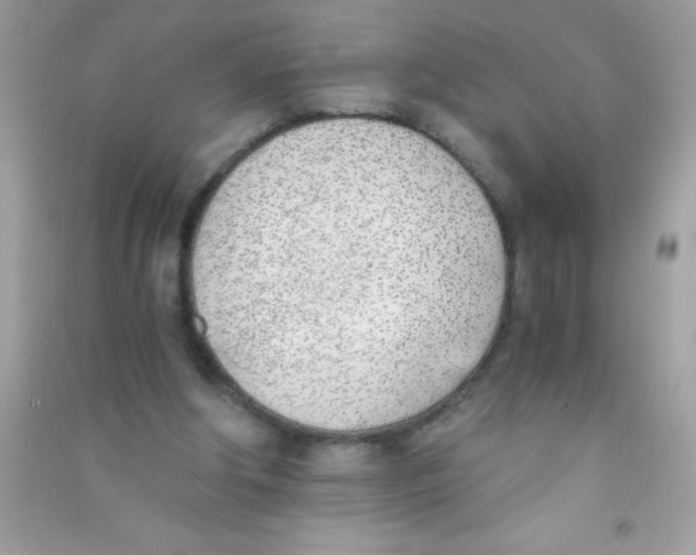 X0000090740202200708172014