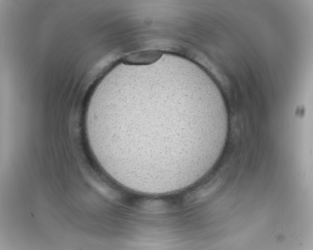 X0000090740203200708172014