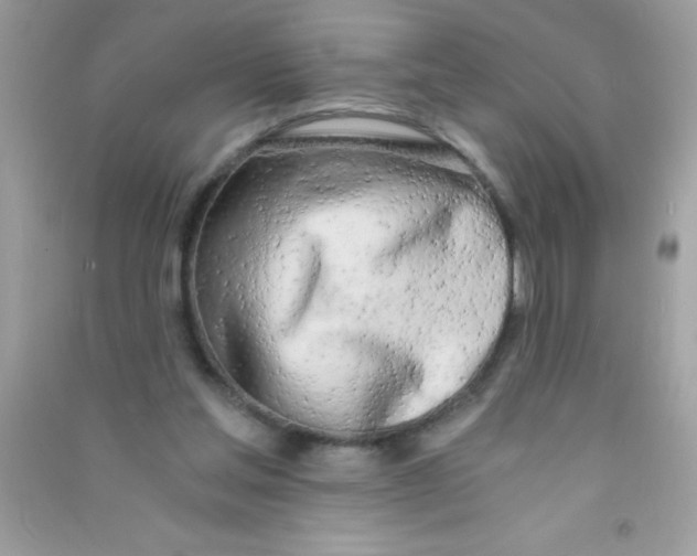 X0000090740205200708172014