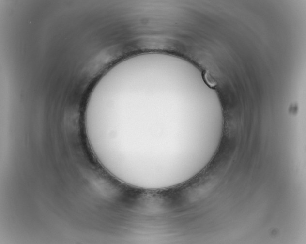 X0000090740207200708172014