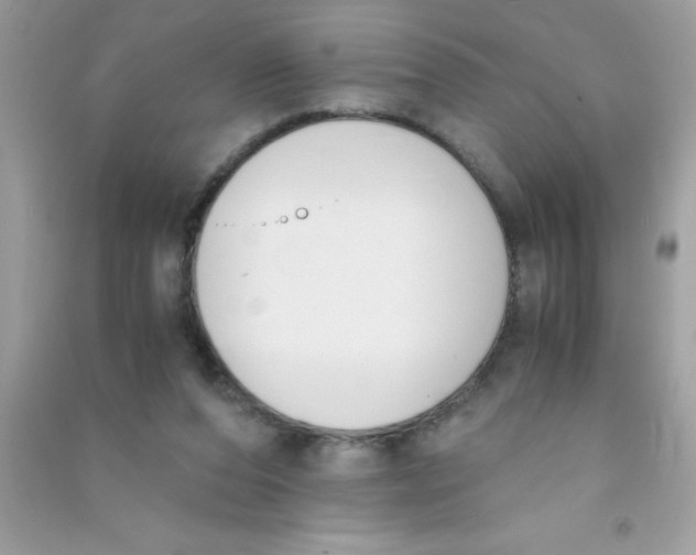 X0000090740208200708172014