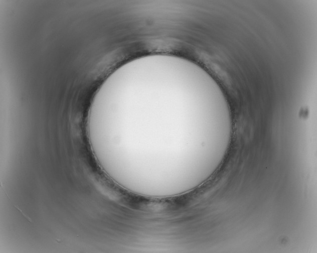 X0000090740209200708172014