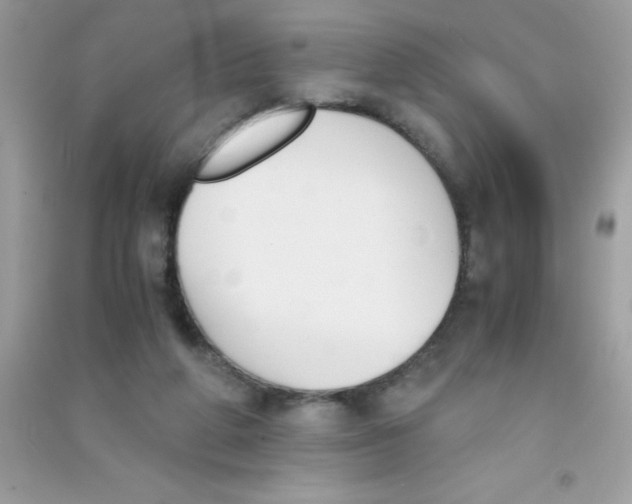 X0000090740210200708172014