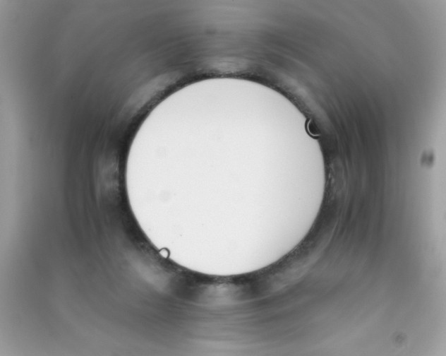 X0000090740212200708172014