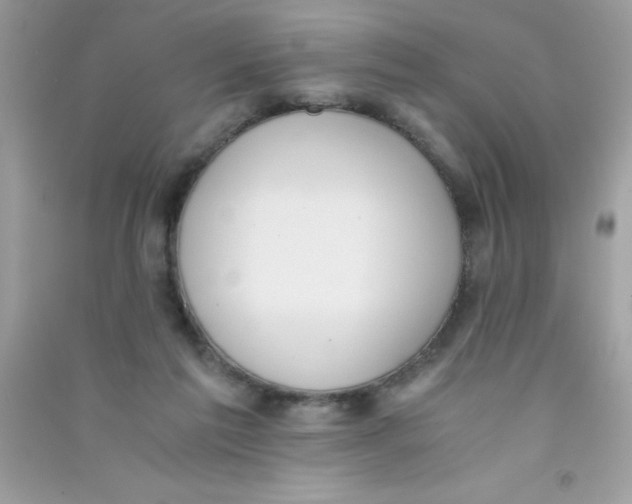 X0000090740213200708172014