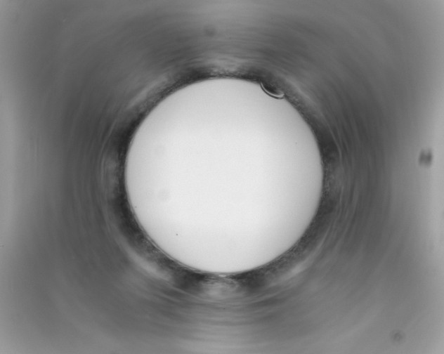 X0000090740215200708172014