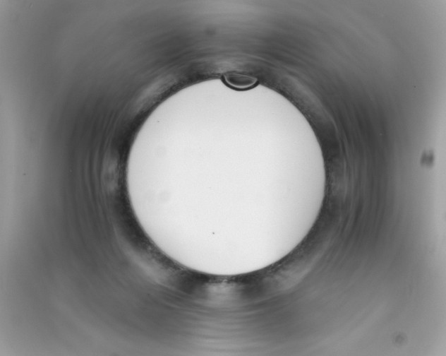 X0000090740216200708172014