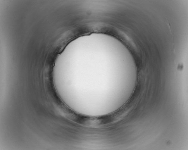 X0000090740217200708172014