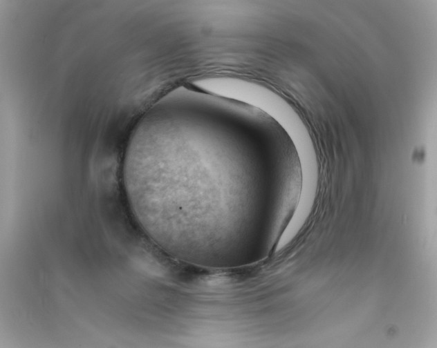 X0000090740219200708172014