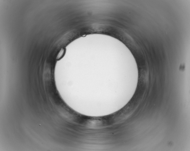 X0000090740220200708172014