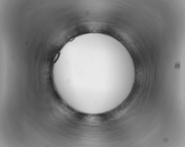 X0000090740221200708172014