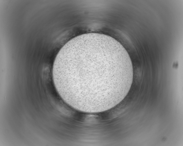 X0000090740222200708172014