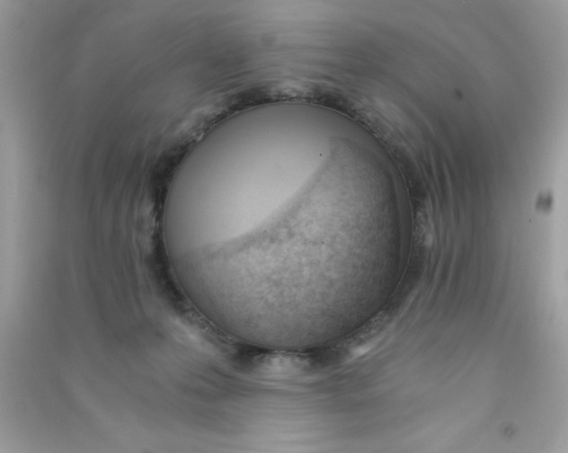 X0000090740223200708172014