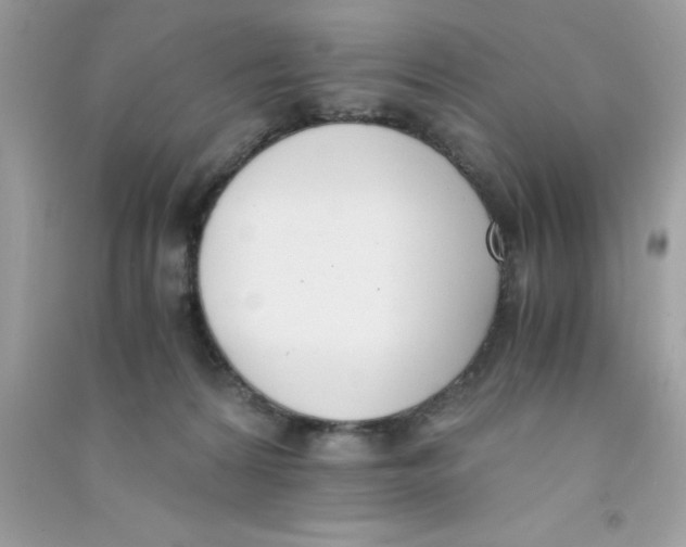 X0000090740224200708172014