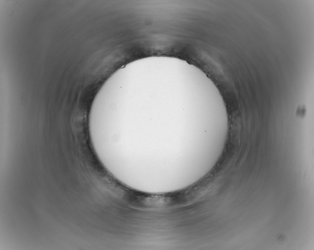 X0000090740225200708172014