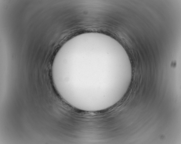 X0000090740229200708172014