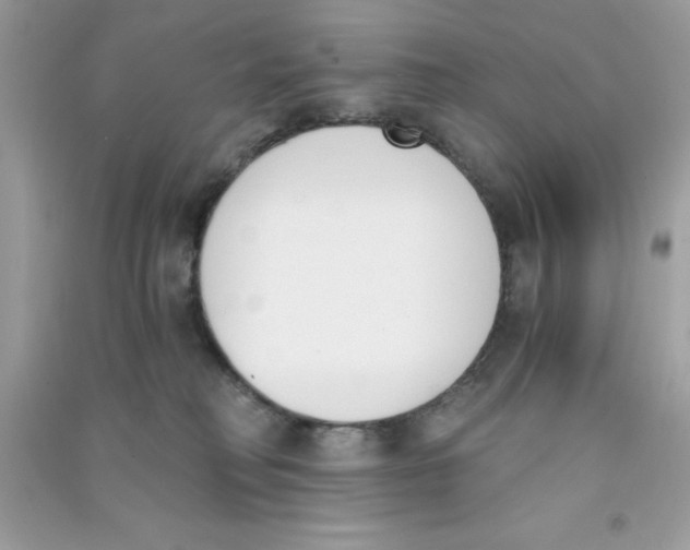 X0000090740230200708172014