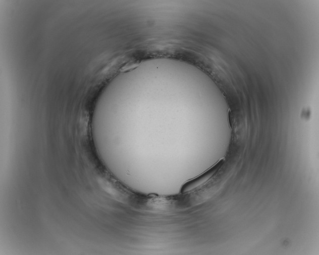 X0000090740231200708172014