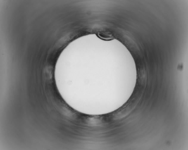 X0000090740232200708172014