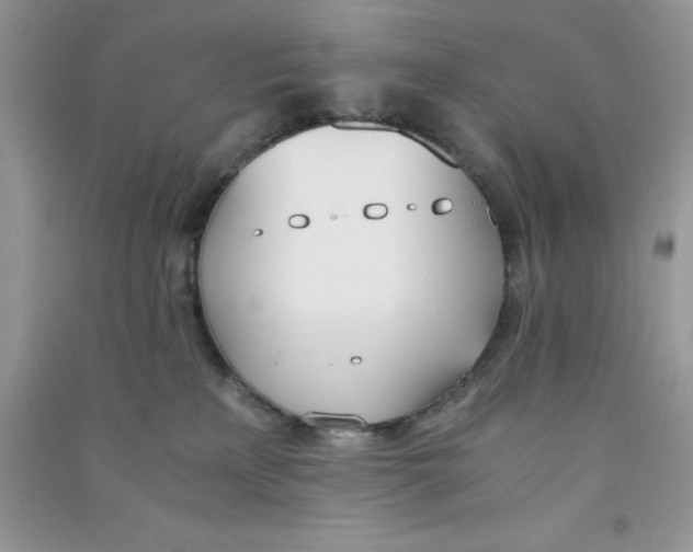 X0000090740233200708172014