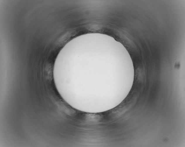 X0000090740234200708172013