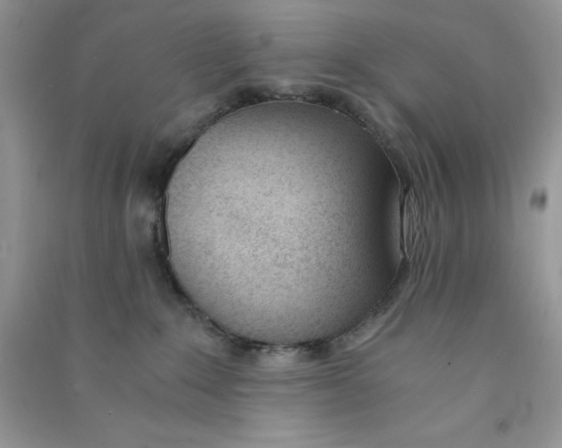 X0000090740235200708172013