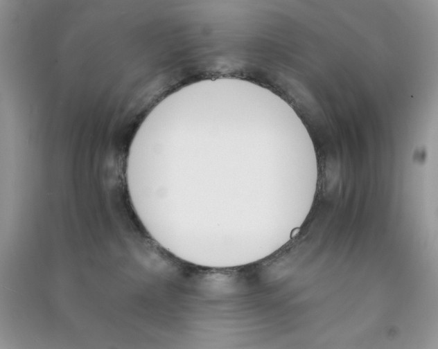 X0000090740236200708172013