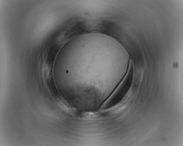 X0000090740239200708172013