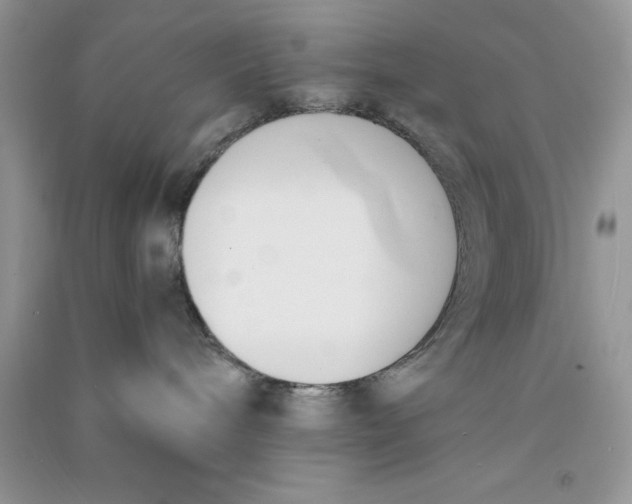 X0000090740240200708172013