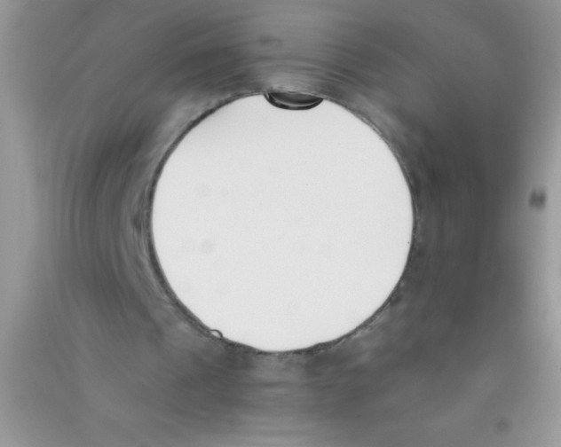 X0000090740241200708172013