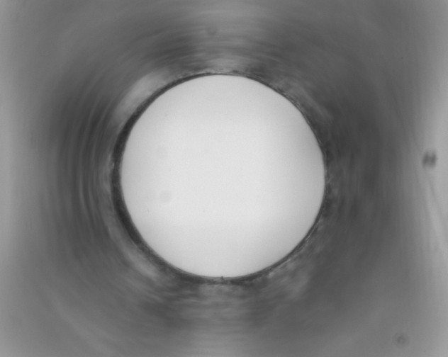 X0000090740242200708172013