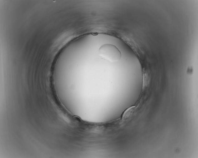 X0000090740243200708172013