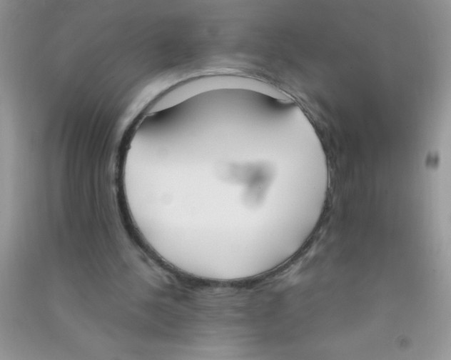 X0000090740244200708172013