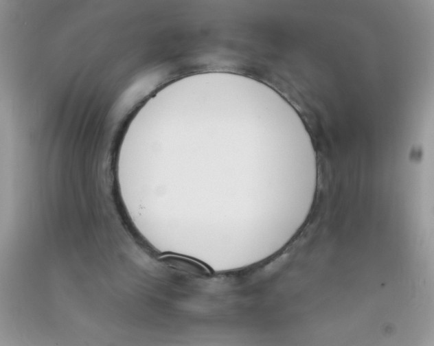 X0000090740245200708172013