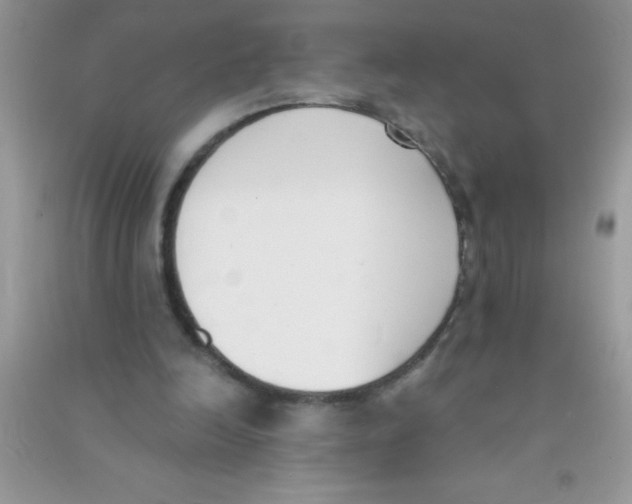 X0000090740246200708172013