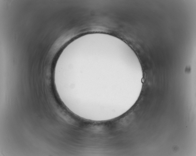 X0000090740247200708172013