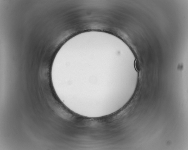 X0000090740249200708172013